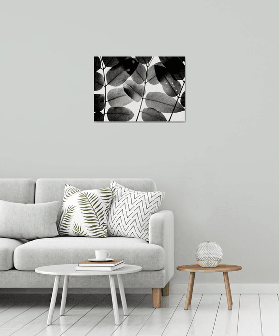 Experiments with Leaves II | Limited Edition Fine Art Print 1 of 10 | 60 x 40 cm