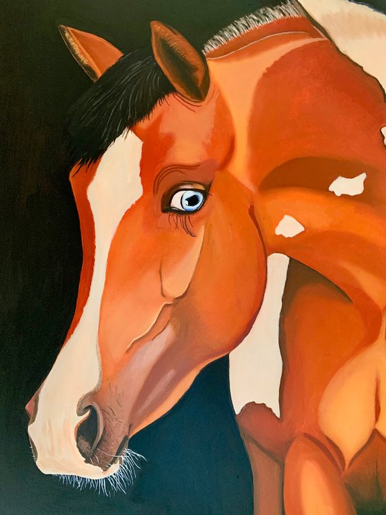 Horse with Blue Eyes - Giclee