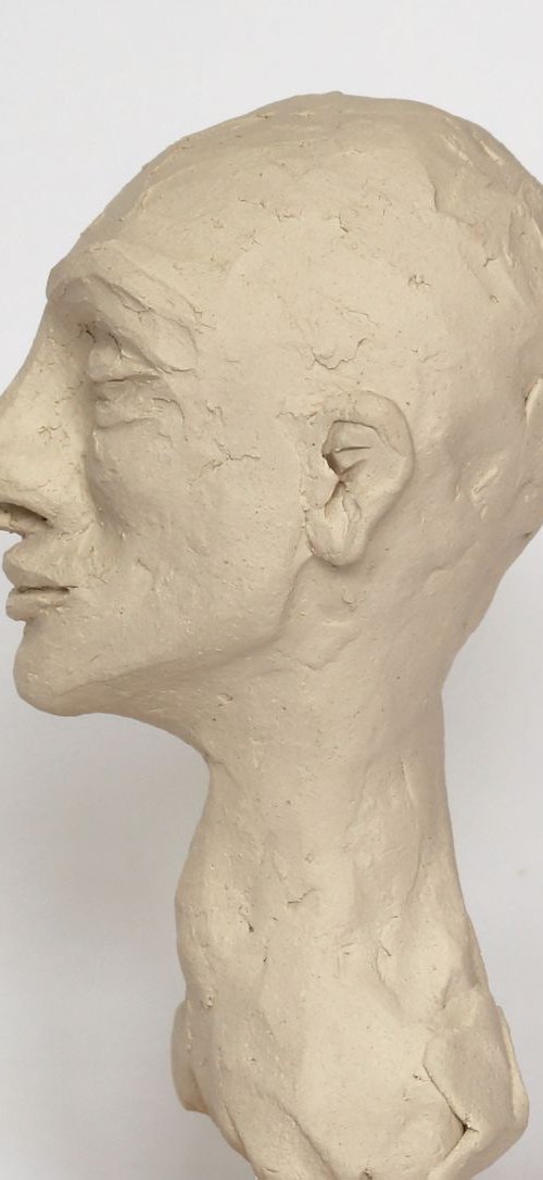 Wilkinson: ceramic portrait sculpture by Gabrielle Turner