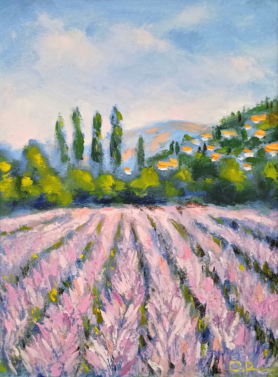 Lavender fields of Provence by Oleh Rak