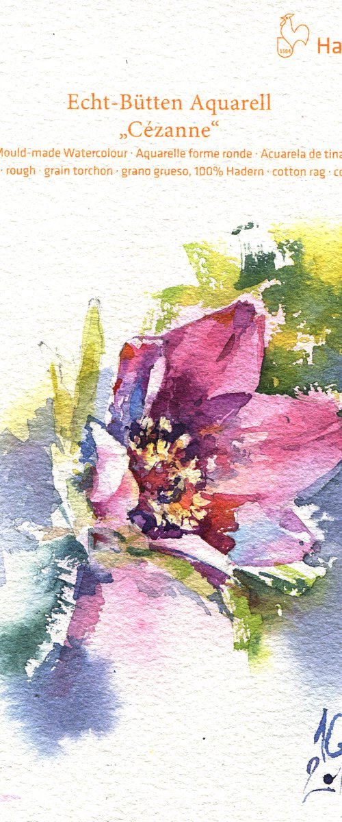 "Pasque-flower" original watercolor sketch small format by Ksenia Selianko