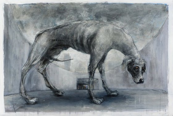 A grey dog, on a grey day, under the Mancunian Way.