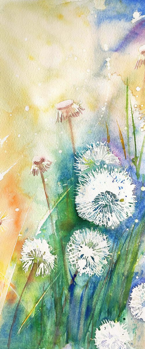 Dandelions watercolor by Yulia Berseneva