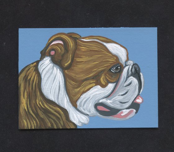 ACEO ATC Original Miniature Painting English Bulldog Pet Dog Art-Carla Smale