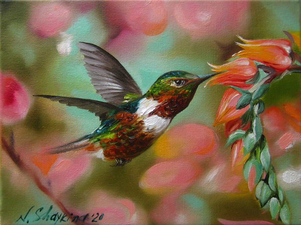 Photorealistic Animal Oil Painting By Natalia Shaykina, 9 X 7", Hummingbird, Original Artwork
