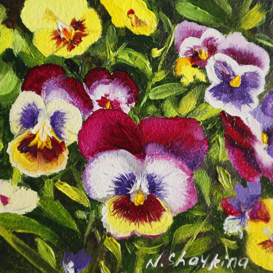 Framed Pansy Miniature Set
