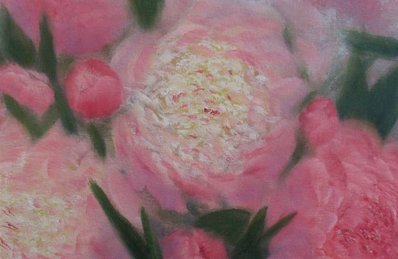 Peonies