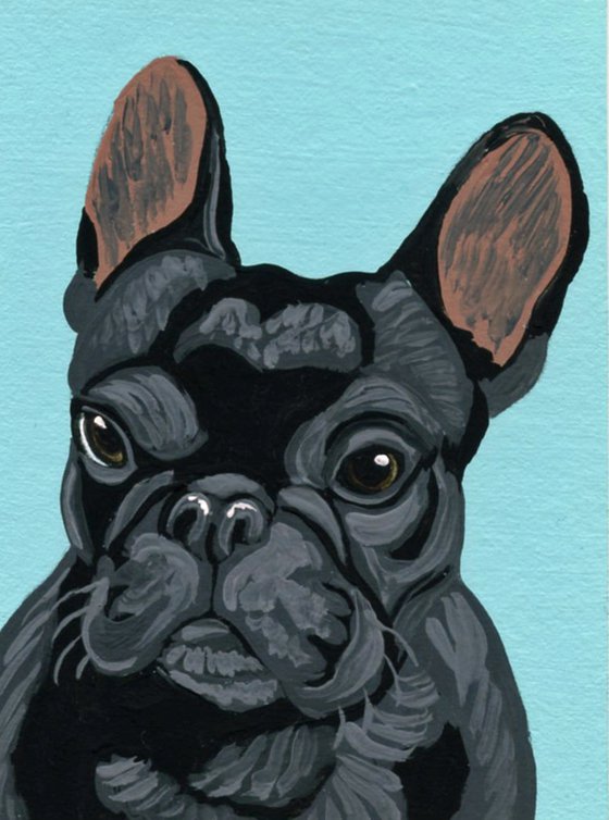 Black French Bulldog