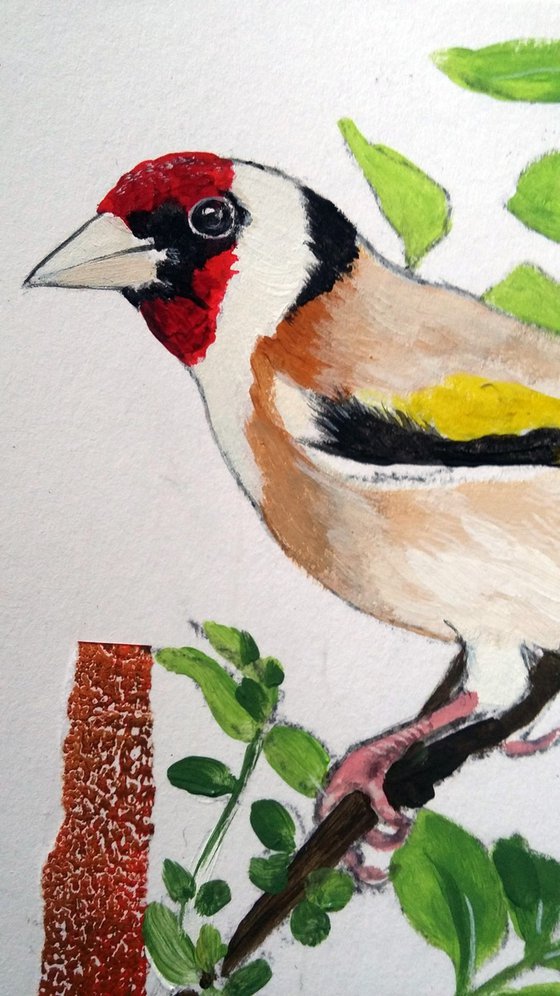 Goldfinches -  Framed ready to hang original artwork