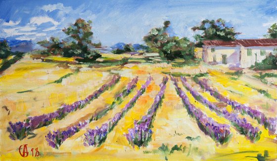 Lavender field in Provence. Original oil art work medium size interior home decor france classic landscape green purple