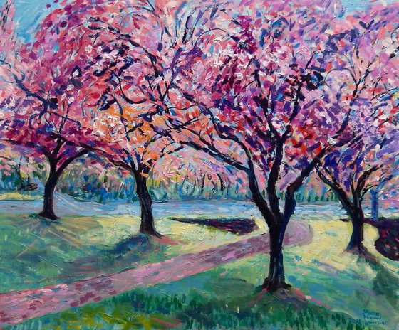 Cherry Trees, Leven, Fife