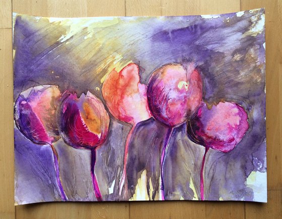 Tulip Love II
