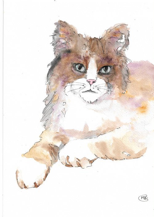Little Fluffy Cat by MARJANSART