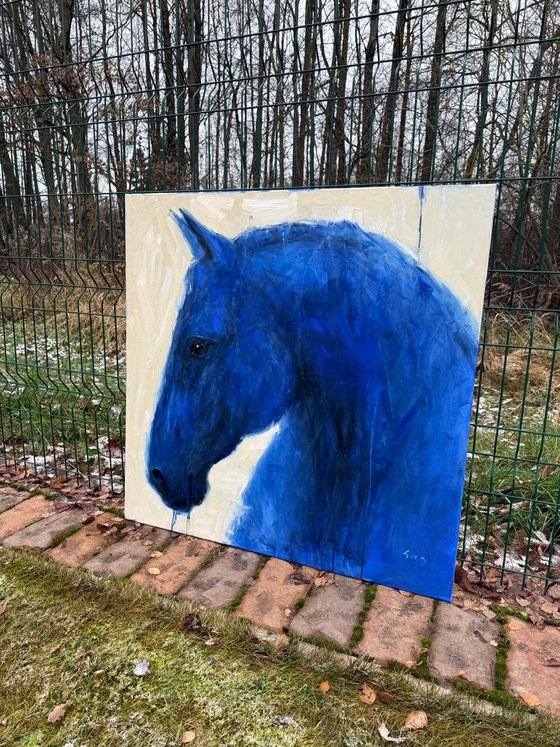 Blue horse