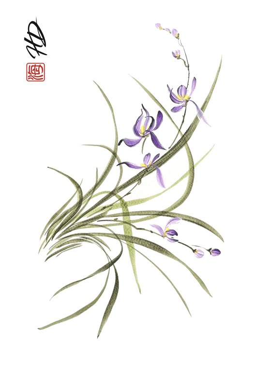 Evening Orchid