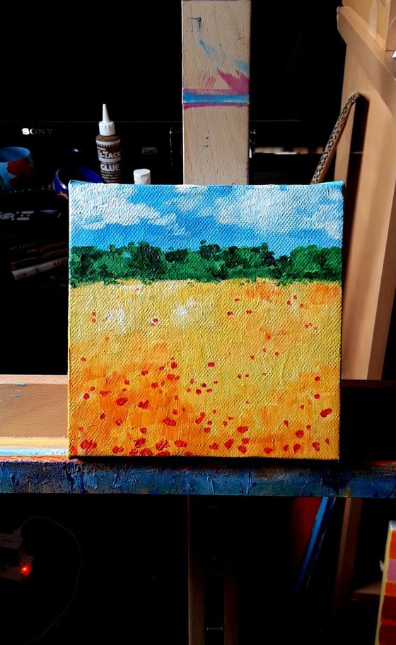 Poppies in the wheat