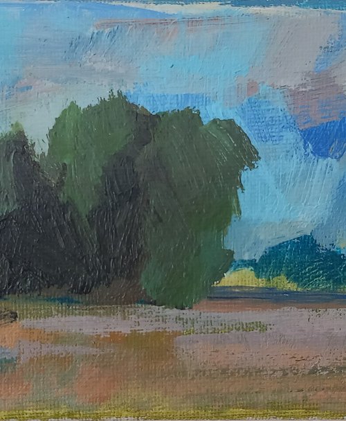 Longrun Meadow by Adam Grose MA PGCE