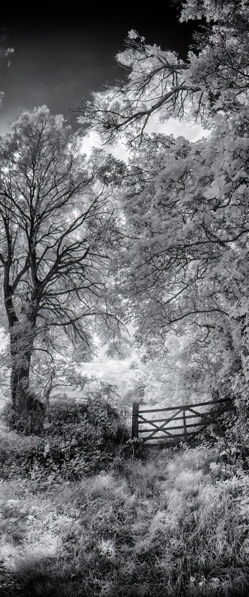 The gate and path by Paul Nash