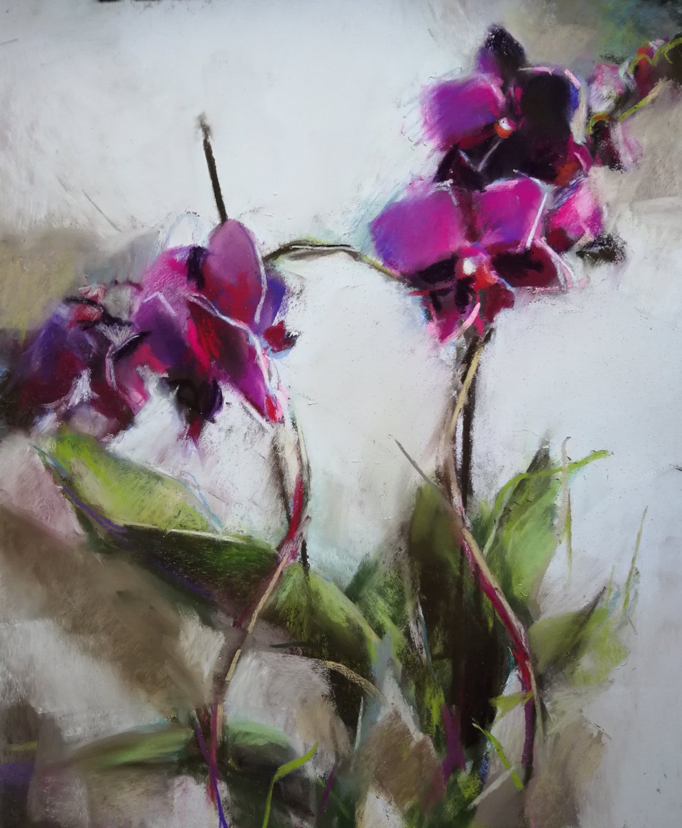 Purple Orchid by Silja Salmistu