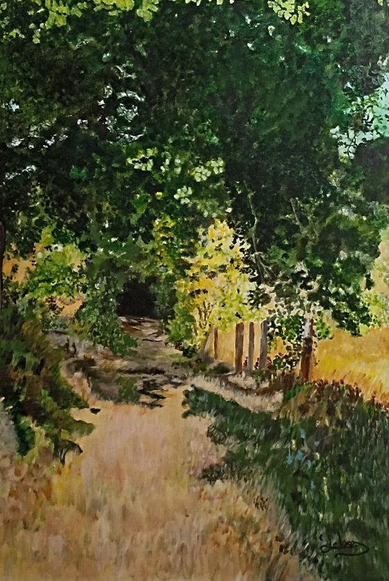 Path in the forest