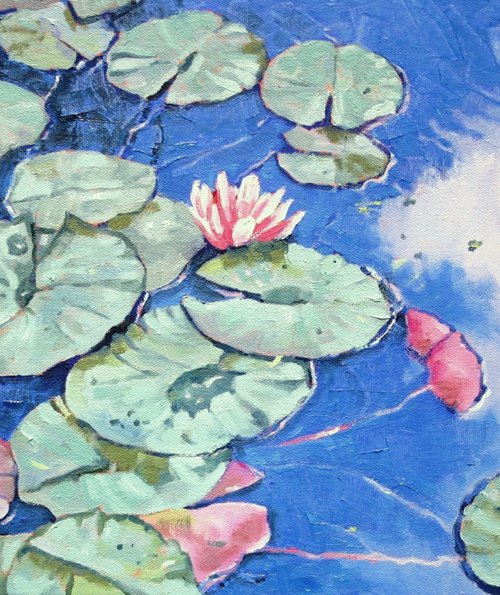 Tranquil Waterlilies by Zoe Elizabeth Norman