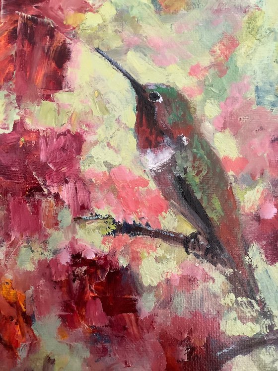 Hummingbird