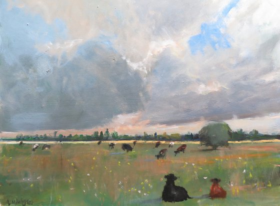 Cow Meadow