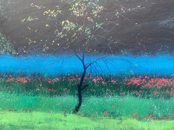 Spring Blossoms