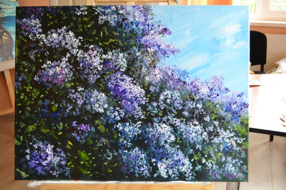 Lilac Garden