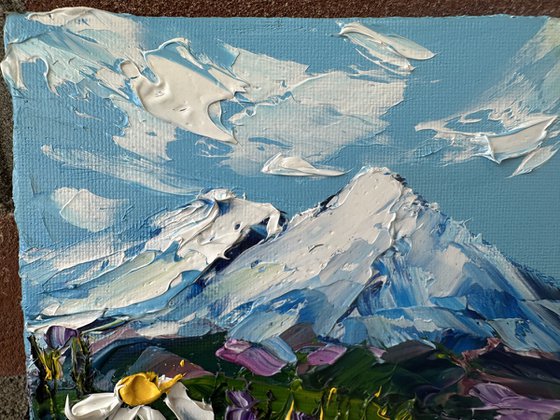 Daisies in the mountains