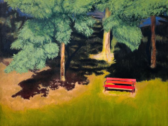 Wooden Bench in the Summer