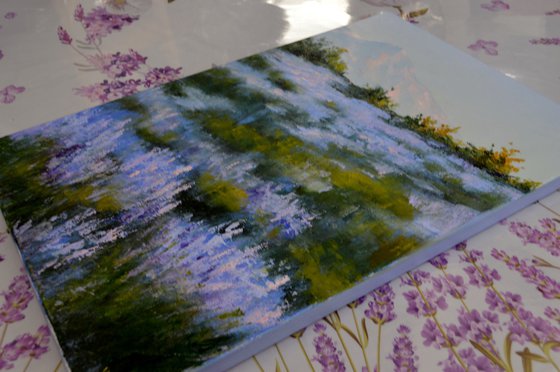 Wild lavender in the haze of the morning sun