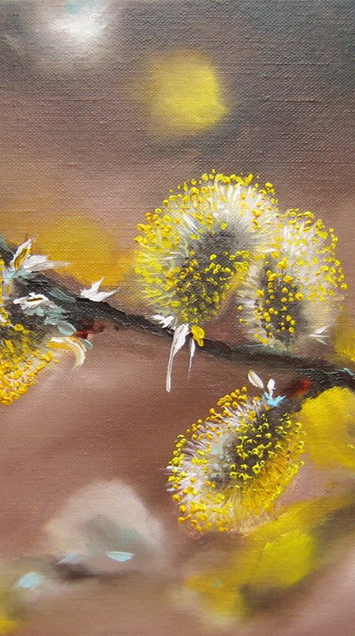 Soft Pussy Willow Branch by Natalia Shaykina