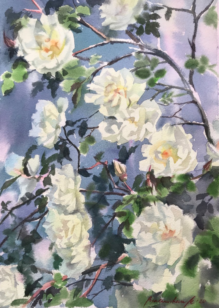 White roses by Maria Beklemisheva