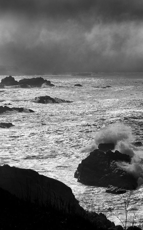 The Wild Big Sur - California by Stephen Hodgetts Photography