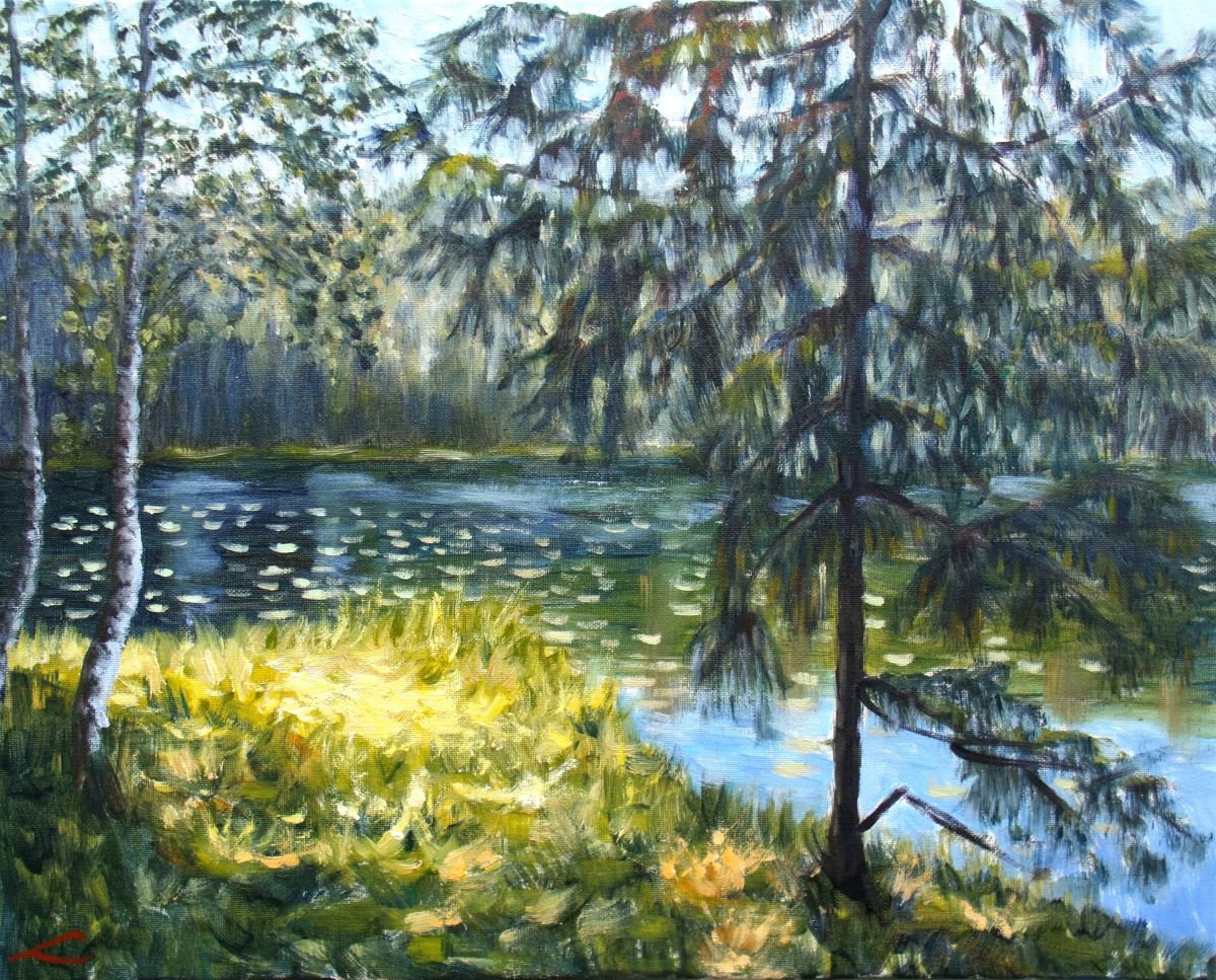 Forest lake by Elena Sokolova