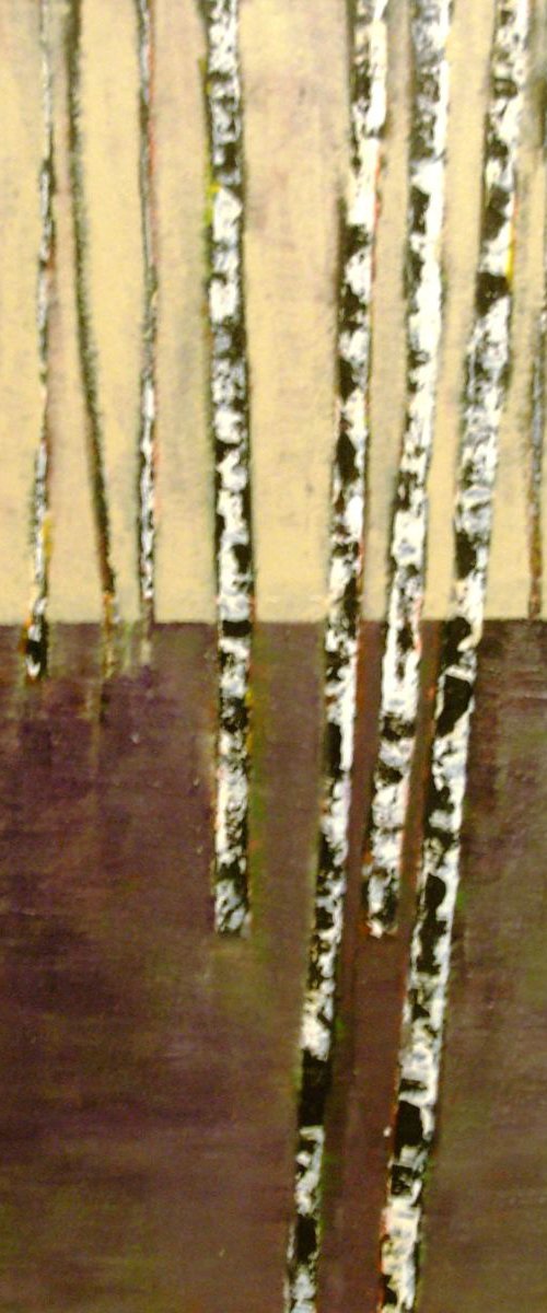 Silver Birch 3 by Jan Rippingham