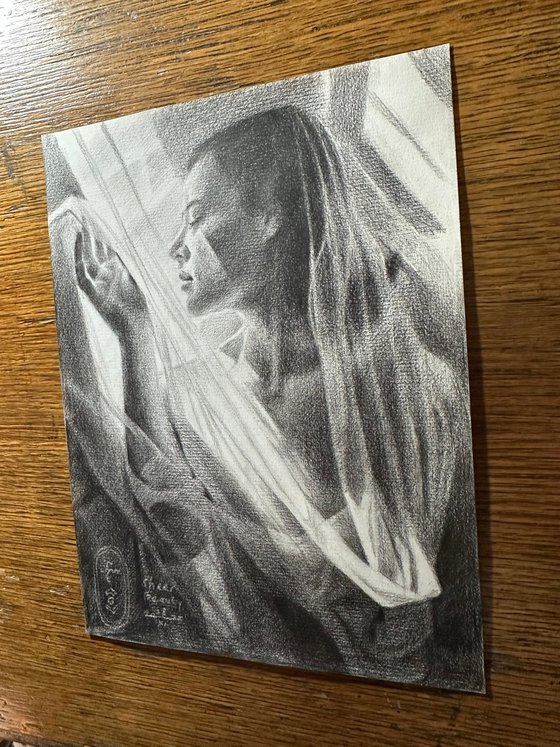 Sheer Beauty - 28-11-25