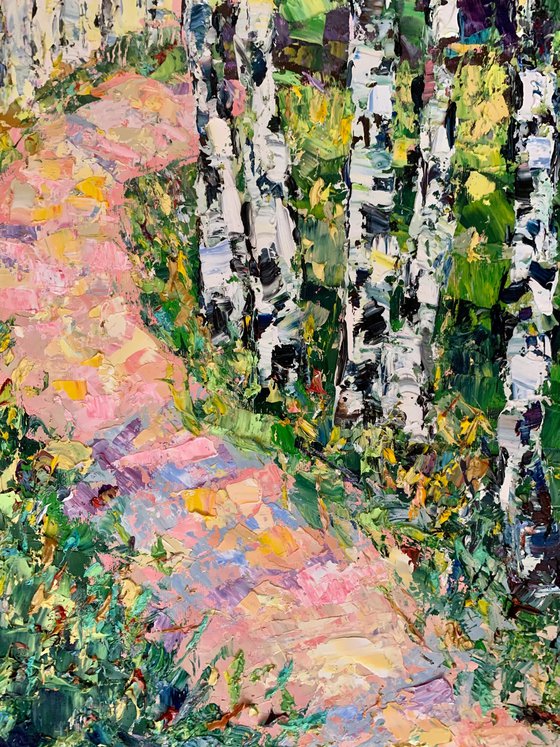 Birch path in spring