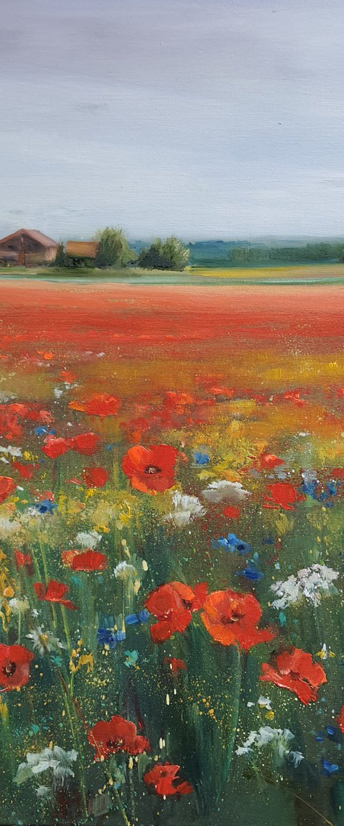 Poppies on the field by Olha Laptieva