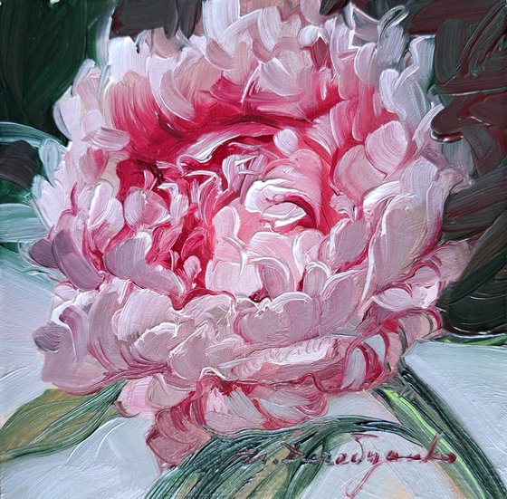 Peony painting