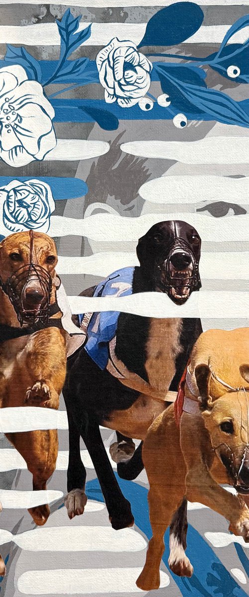 Greyhounds by Mike Ferrari