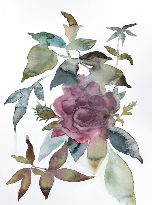 Rose Study No. 79 by Elizabeth Becker
