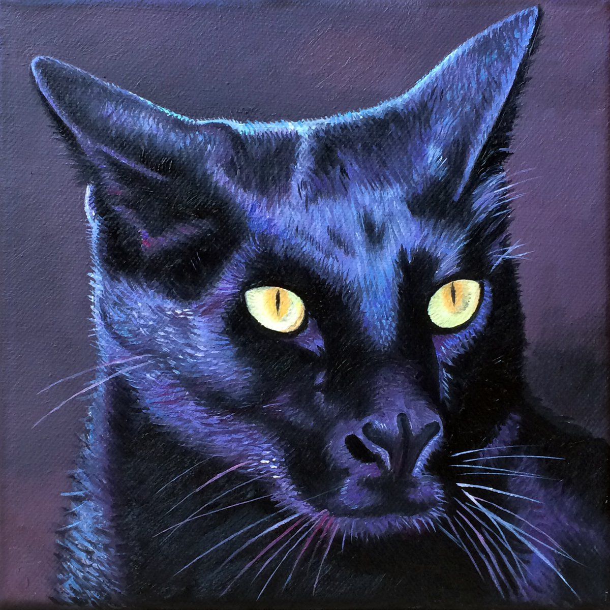 Photorealistic Animal Oil Painting By Alexander Titorenkov, 8 X 8, Cat, Original Artwork