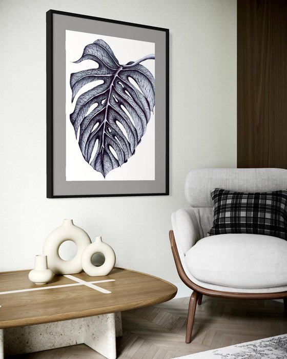 SINGLE MONSTERA LEAF