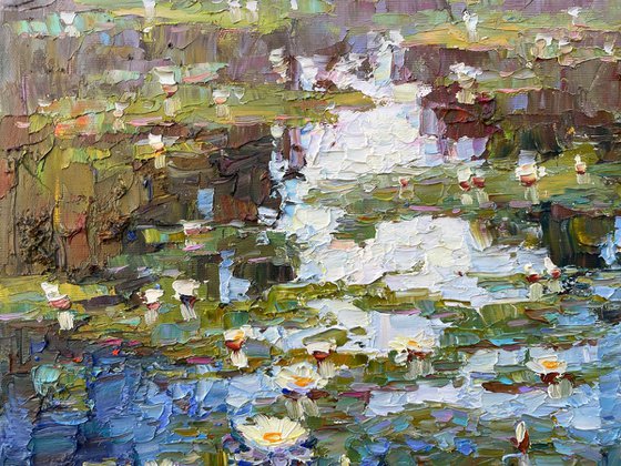 river with water lilies