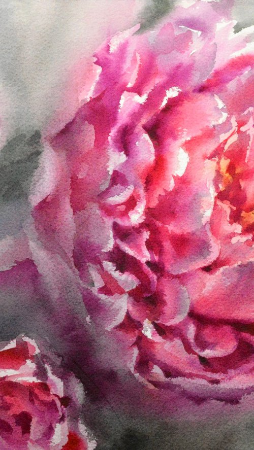 Pink peony by Lida Duchnewitsch