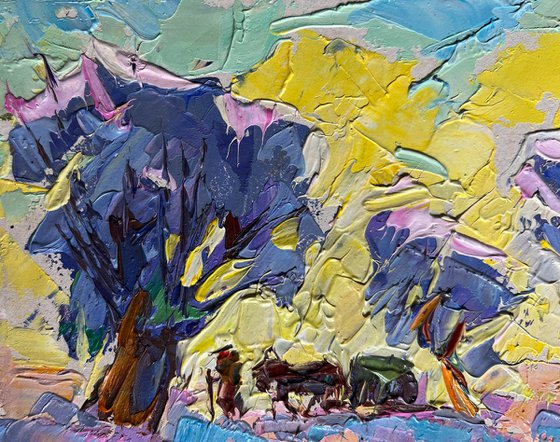 Winter morning in the field