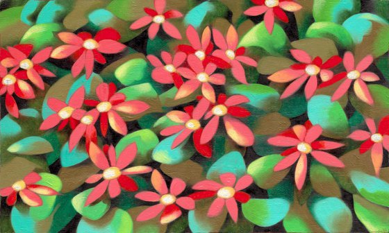 Red flowers