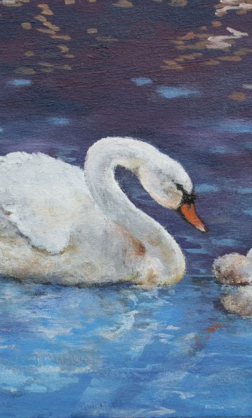 Swan and Cygnets by Christopher Hughes
